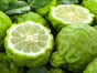 BERGAMOT