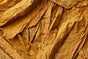 TOBACCO LEAF