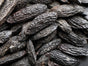 TONKA BEAN