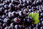 BLACKCURRANT